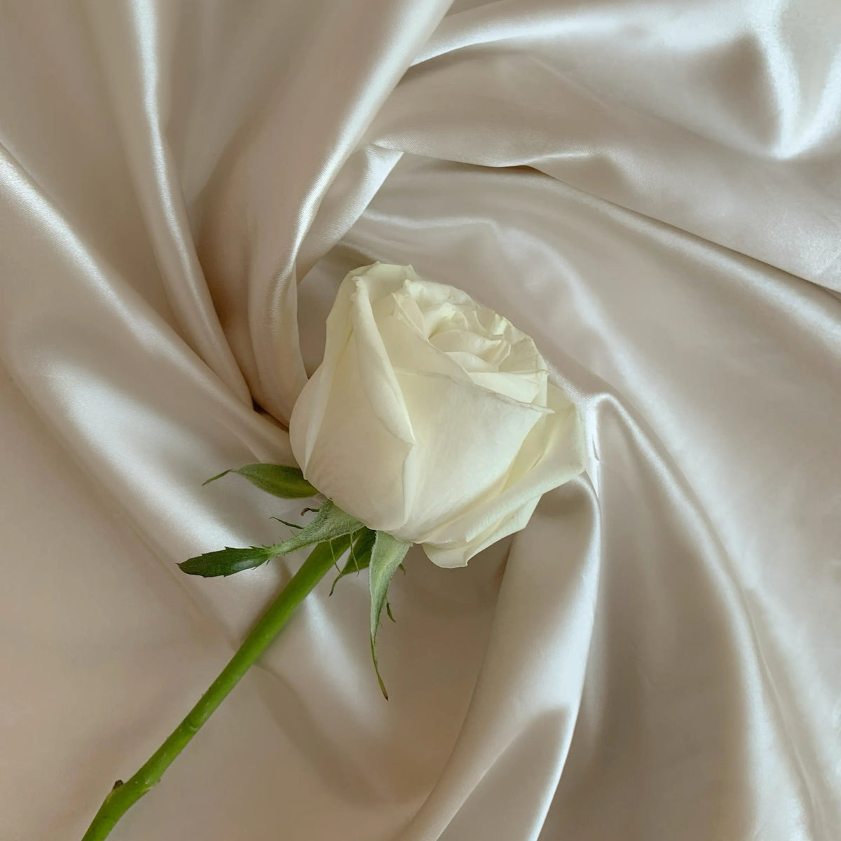 Silk & Love Stories: The Romantic Legacy of Luxury Fabrics - SilkSouq