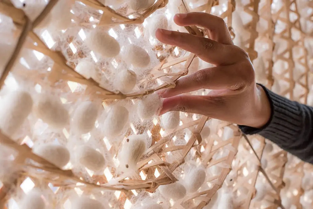 Why Mulberry Silk is the Top Choice for High-Quality Silk Products - SilkSouq