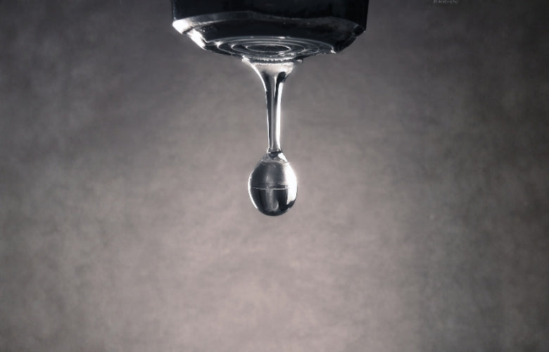 Gulf water, and what it leaves behind